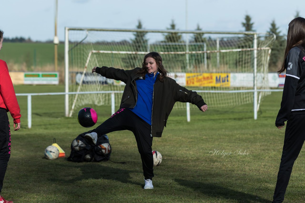 Bild 182 - C-Juniorinnen SV Steinhorst/Labenz - TSV Friedrichsberg-Busdorf : Ergebnis: 5:0